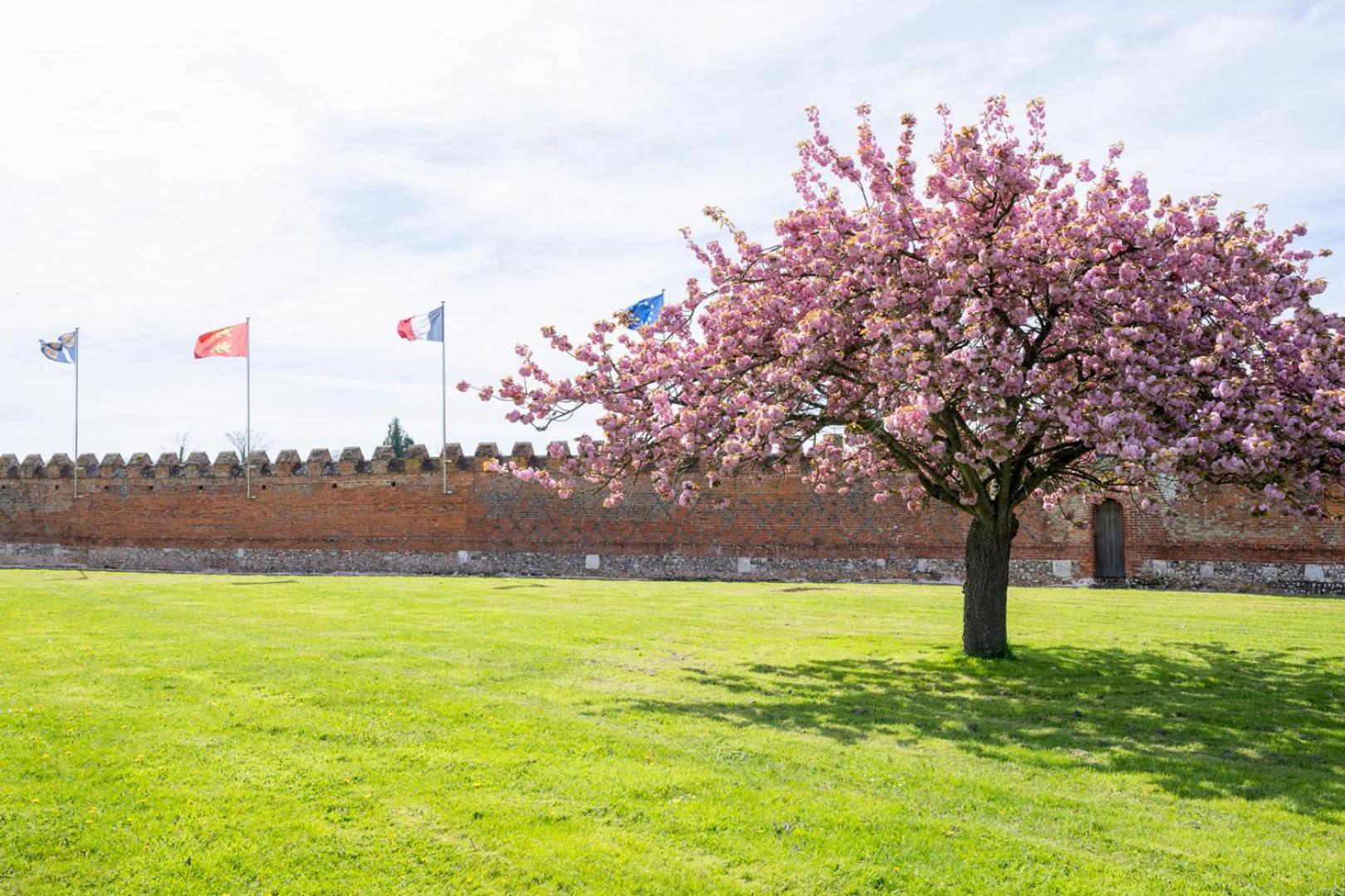 Chateau De Tilly Boissey-le-Chatel Exterior photo